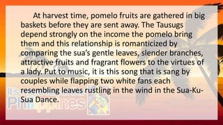 At harvest time, pomelo fruits are gathered in big
baskets before they are sent away. The Tausugs
depend strongly on the income the pomelo bring
them and this relationship is romanticized by
comparing the sua’s gentle leaves, slender branches,
attractive fruits and fragrant flowers to the virtues of
a lady. Put to music, it is this song that is sang by
couples while flapping two white fans each
resembling leaves rustling in the wind in the Sua-Ku-
Sua Dance.
 
