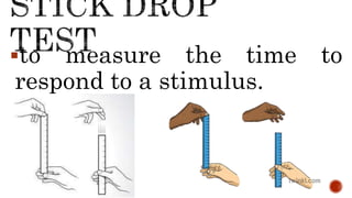 to measure the time to
respond to a stimulus.
 
