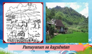 Pamayanan sa kagubatan
 