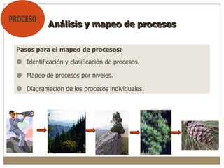 Pasos para el mapeo de procesos:
 Identificación y clasificación de procesos.
 Mapeo de procesos por niveles.
 Diagramación de los procesos individuales.
Análisis y mapeo de procesos
 