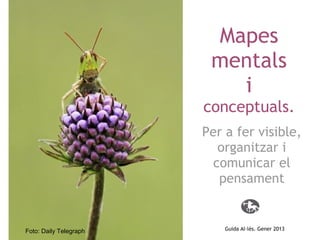 Mapes
mentals
i
conceptuals.
Per a fer visible,
organitzar i
comunicar el
pensament
Foto: Daily Telegraph Guida Al·lès. Gener 2013
 