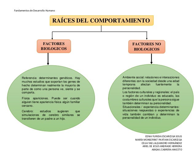 Mapa Raices del comportamiento