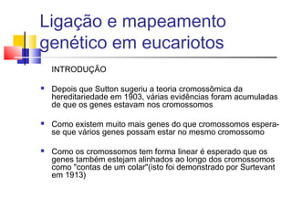 Ligação e mapeamento 
genético em eucariotos 
INTRODUÇÃO 
 Depois que Sutton sugeriu a teoria cromossômica da 
hereditariedade em 1903, várias evidências foram acumuladas 
de que os genes estavam nos cromossomos 
 Como existem muito mais genes do que cromossomos espera-se 
que vários genes possam estar no mesmo cromossomo 
 Como os cromossomos tem forma linear é esperado que os 
genes também estejam alinhados ao longo dos cromossomos 
como "contas de um colar"(isto foi demonstrado por Surtevant 
em 1913) 
 