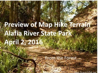 Preview of Map Hike Terrain
Alafia River State Park
April 2, 2016
From the Forest……
 