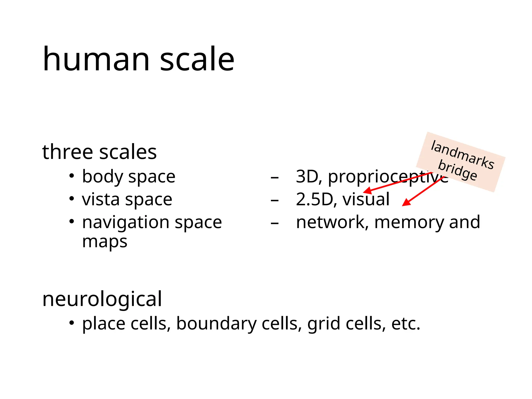 human scale
three scales
• body space – 3D, proprioceptive
• vista space – 2.5D, visual
• navigation space – network, memory and
maps
neurological
• place cells, boundary cells, grid cells, etc.
landmarks
bridge
 
