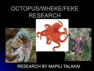 OCTOPUS/WHEKE/FEKE RESEARCH RESEARCH BY MAPILI TALAKAI 