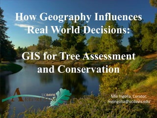 How Geography Influences Real World Decisions:GIS for Tree Assessment and Conservation Mia Ingolia, Curator,  meingolia@ucdavis.edu 