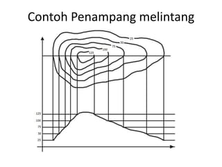 Contoh Penampang melintang
 