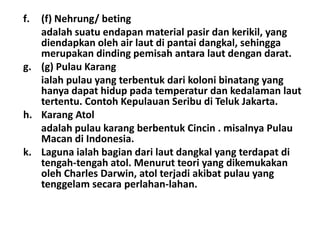 f. (f) Nehrung/ beting
   adalah suatu endapan material pasir dan kerikil, yang
   diendapkan oleh air laut di pantai dangkal, sehingga
   merupakan dinding pemisah antara laut dengan darat.
g. (g) Pulau Karang
   ialah pulau yang terbentuk dari koloni binatang yang
   hanya dapat hidup pada temperatur dan kedalaman laut
   tertentu. Contoh Kepulauan Seribu di Teluk Jakarta.
h. Karang Atol
   adalah pulau karang berbentuk Cincin . misalnya Pulau
   Macan di Indonesia.
k. Laguna ialah bagian dari laut dangkal yang terdapat di
   tengah-tengah atol. Menurut teori yang dikemukakan
   oleh Charles Darwin, atol terjadi akibat pulau yang
   tenggelam secara perlahan-lahan.
 