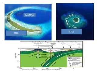 LAGUNA




                ATOL
ATOL
 