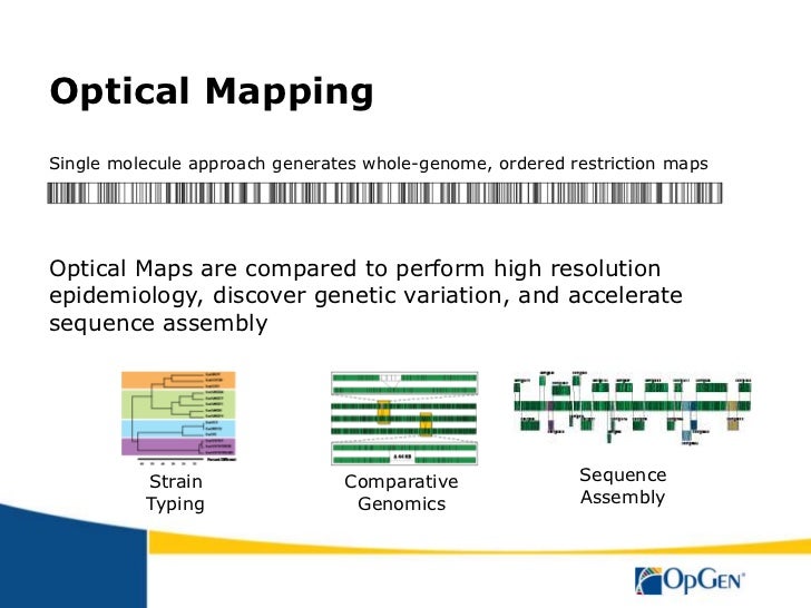 How can Optical Mapping accelerate - How Can Optical Mapping Accelerate My Research 15 728 