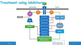 mitogen activated protein kinase.pptx