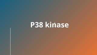 MAPK.pptx map kinase pathway pharmacology | PPTX | Endocrine and ...