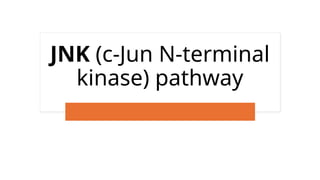 MAPK.pptx map kinase pathway pharmacology | PPTX | Endocrine and ...