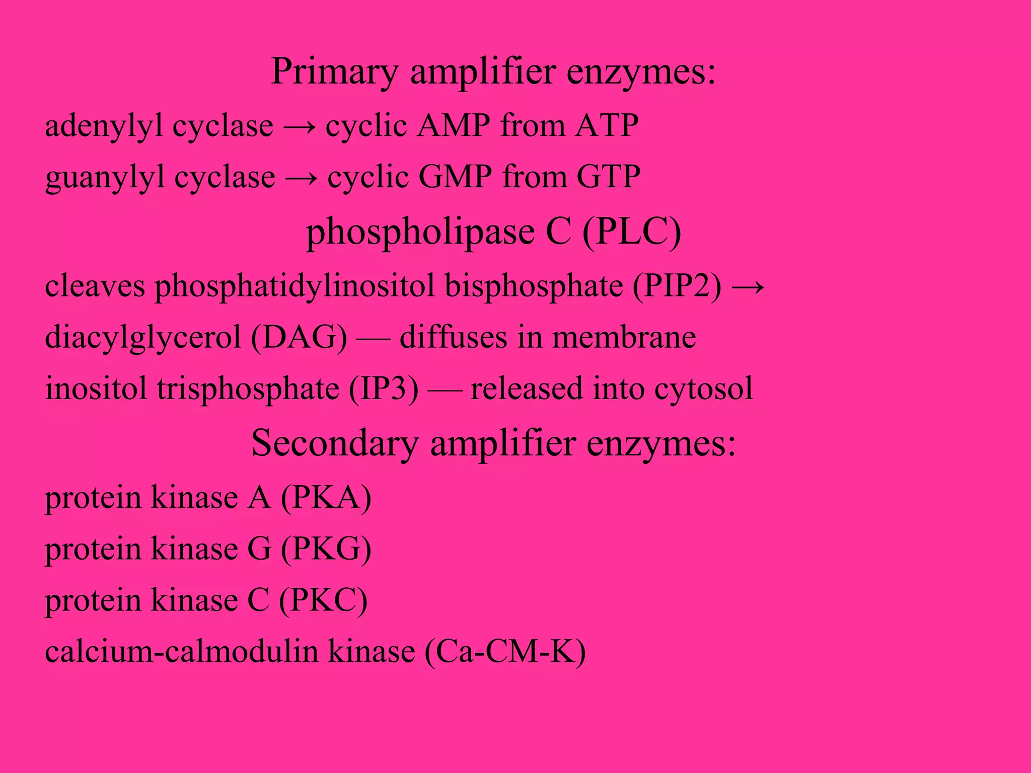 Primary amplifier enzymes:
adenylyl cyclase → cyclic AMP from ATP
guanylyl cyclase → cyclic GMP from GTP
phospholipase C (PLC)
cleaves phosphatidylinositol bisphosphate (PIP2) →
diacylglycerol (DAG) — diffuses in membrane
inositol trisphosphate (IP3) — released into cytosol
Secondary amplifier enzymes:
protein kinase A (PKA)
protein kinase G (PKG)
protein kinase C (PKC)
calcium-calmodulin kinase (Ca-CM-K)
 
