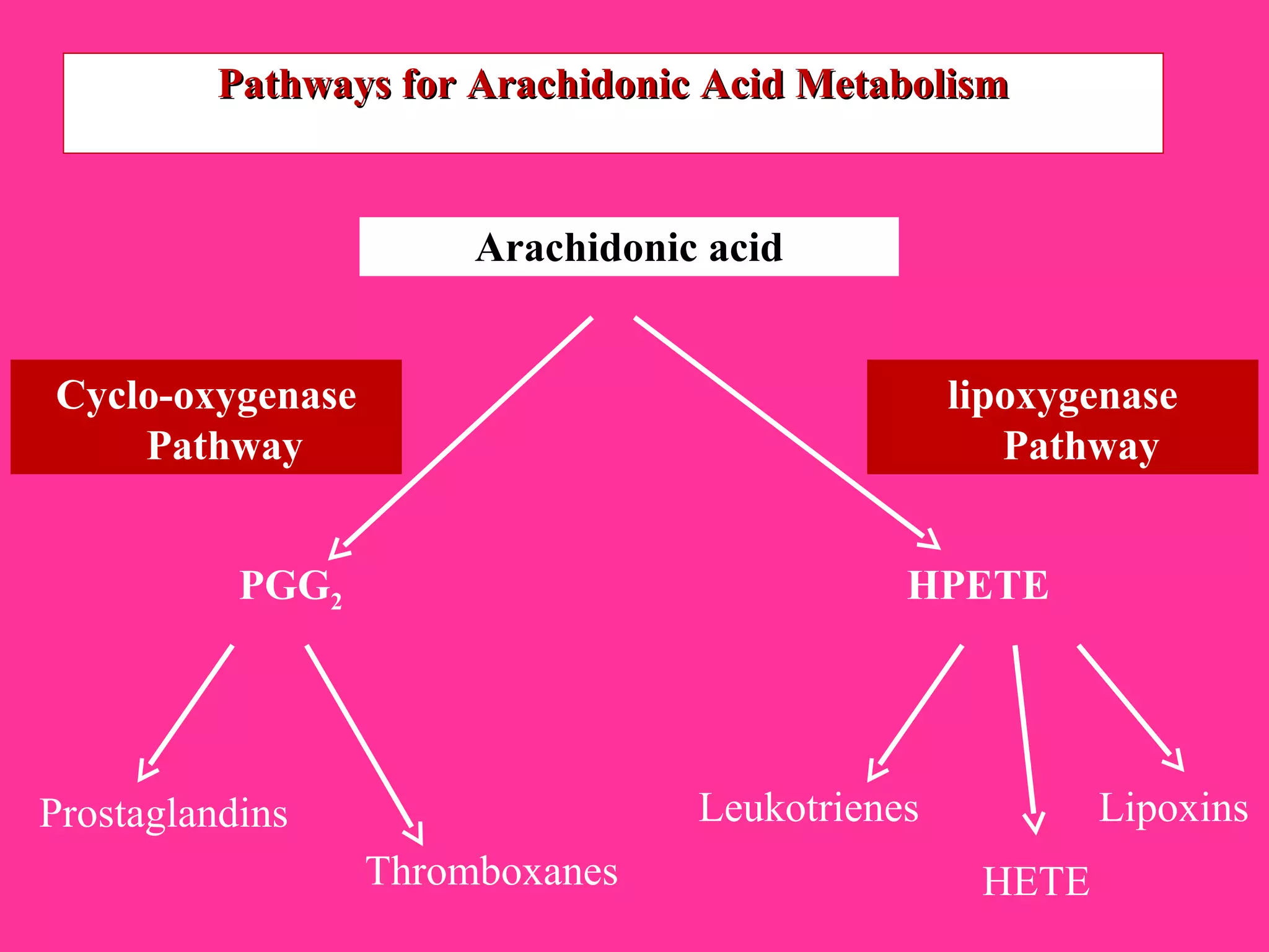 Pathways for Arachidonic Acid MetabolismPathways for Arachidonic Acid Metabolism
Arachidonic acid
Cyclo-oxygenase
Pathway
PGG2
Prostaglandins
Thromboxanes
lipoxygenase
Pathway
HPETE
Leukotrienes
HETE
Lipoxins
 