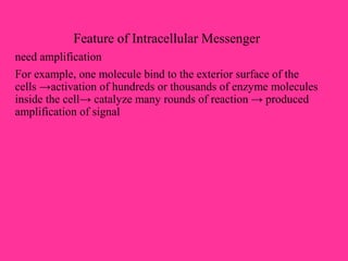 Feature of Intracellular Messenger
need amplification
For example, one molecule bind to the exterior surface of the
cells →activation of hundreds or thousands of enzyme molecules
inside the cell→ catalyze many rounds of reaction → produced
amplification of signal
 