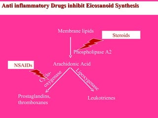 Anti inflammatory Drugs inhibit Eicosanoid SynthesisAnti inflammatory Drugs inhibit Eicosanoid Synthesis
LeukotrienesProstaglandins,
thromboxanes
NSAIDs
Cyclo-
oxygenase
Lipoxygenase
Membrane lipids
Arachidonic Acid
Steroids
Phospholipase A2
 