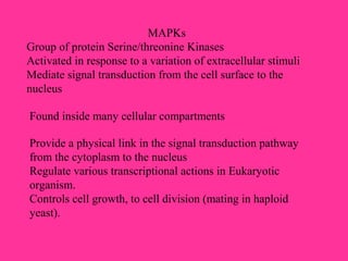 MAPKs
Group of protein Serine/threonine Kinases
Activated in response to a variation of extracellular stimuli
Mediate signal transduction from the cell surface to the
nucleus
Found inside many cellular compartments
Provide a physical link in the signal transduction pathway
from the cytoplasm to the nucleus
Regulate various transcriptional actions in Eukaryotic
organism.
Controls cell growth, to cell division (mating in haploid
yeast).
 