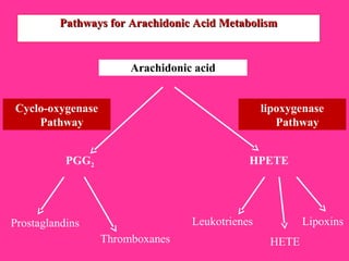 Pathways for Arachidonic Acid MetabolismPathways for Arachidonic Acid Metabolism
Arachidonic acid
Cyclo-oxygenase
Pathway
PGG2
Prostaglandins
Thromboxanes
lipoxygenase
Pathway
HPETE
Leukotrienes
HETE
Lipoxins
 
