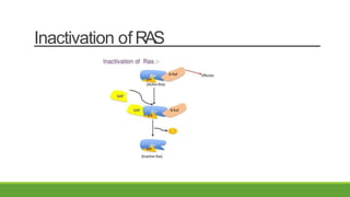 Inactivation of RAS
 