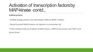 Activation of transcription factorsby
MAP-kinase contd.,
Scaffold proteins
Scaffold strategy prevent cross-talk between different MAPK modules
Atleast 5 parallel MAPK modules can operate in a mammalian cell
These modules make use of atleast 12 MAP kinases, 7 MAP kinase kinases and 7 MAP kinas
kinase kinase
 