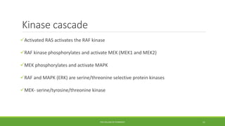 Kinase cascade
Activated RAS activates the RAF kinase
RAF kinase phosphorylates and activate MEK (MEK1 and MEK2)
MEK phosphorylates and activate MAPK
RAF and MAPK (ERK) are serine/threonine selective protein kinases
MEK- serine/tyrosine/threonine kinase
PSG COLLEGE OF PHARMACY 11
 