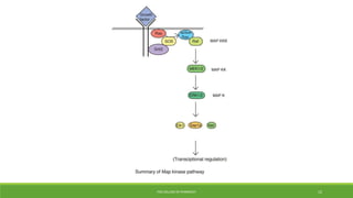 PSG COLLEGE OF PHARMACY 12
 