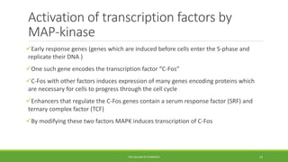 Activation of transcription factors by
MAP-kinase
Early response genes (genes which are induced before cells enter the S-phase and
replicate their DNA )
One such gene encodes the transcription factor “C-Fos”
C-Fos with other factors induces expression of many genes encoding proteins which
are necessary for cells to progress through the cell cycle
Enhancers that regulate the C-Fos genes contain a serum response factor (SRF) and
ternary complex factor (TCF)
By modifying these two factors MAPK induces transcription of C-Fos
PSG COLLEGE OF PHARMACY 14
 