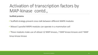 Activation of transcription factors by
MAP-kinase contd.,
Scaffold proteins
Scaffold strategy prevent cross-talk between different MAPK modules
Atleast 5 parallel MAPK modules can operate in a mammalian cell
These modules make use of atleast 12 MAP kinases, 7 MAP kinase kinases and 7 MAP
kinas kinase kinase
PSG COLLEGE OF PHARMACY 16
 