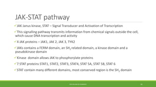 JAK-STAT pathway
JAK Janus kinase, STAT – Signal Transducer and Activation of Transcription
This signalling pathway transmits information from chemical signals outside the cell,
which cause DNA transcription and activity
4 JAK proteins – JAK1, JAK 2, JAK 3, TYK2
JAKs contains a FERM domain, an SH2 related domain, a kinase domain and a
pseudokinase domain
Kinase domain allows JAK to phosphorylate proteins
7 STAT proteins STAT1, STAT2, STAT3, STAT4, STAT 5A, STAT 5B, STAT 6
STAT contain many different domains, most conserved region is the SH2 domain
PSG COLLEGE OF PHARMACY 18
 