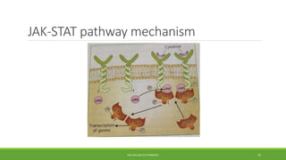 JAK-STAT pathway mechanism
PSG COLLEGE OF PHARMACY 19
 