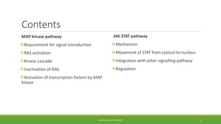 Contents
MAP kinase pathway
Requirement for signal transduction
RAS activation
Kinase cascade
Inactivation of RAS
Activation of transcription factors by MAP
kinase
JAK STAT pathway
Mechanism
Movement of STAT from cytosol to nucleus
Integration with other signalling pathway
Regulation
PSG COLLEGE OF PHARMACY 2
 
