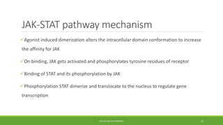 JAK-STAT pathway mechanism
Agonist induced dimerization alters the intracellular domain conformation to increase
the affinity for JAK
On binding, JAK gets activated and phosphorylates tyrosine residues of receptor
Binding of STAT and its phosphorylation by JAK
Phosphorylation STAT dimerize and translocate to the nucleus to regulate gene
transcription
PSG COLLEGE OF PHARMACY 20
 