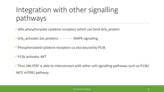Integration with other signalling
pathways
JAKs phosphorylate cytokine receptors which can bind Grb2 protein
Grb2 activates Sos proteins MAPK signalling
Phosphorylated cytokine receptors ca also bound by P13k
P13k activates AKT
Thus JAK-STAT is able to interconnect with other cell-signalling pathways such as P13k/
AKT/ mTOR/ pathway
PSG COLLEGE OF PHARMACY 22
 