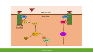 PSG COLLEGE OF PHARMACY 23
 