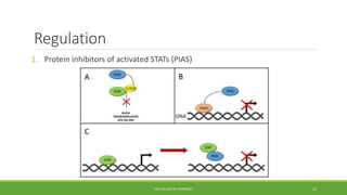 Regulation
1. Protein inhibitors of activated STATs (PIAS)
PSG COLLEGE OF PHARMACY 24
 