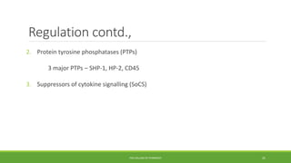 Regulation contd.,
2. Protein tyrosine phosphatases (PTPs)
3 major PTPs – SHP-1, HP-2, CD45
3. Suppressors of cytokine signalling (SoCS)
PSG COLLEGE OF PHARMACY 25
 