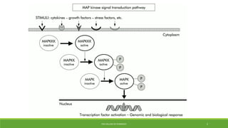 PSG COLLEGE OF PHARMACY 5
 