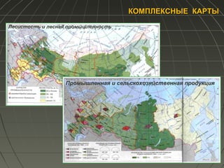КОМПЛЕКСНЫЕ КАРТЫКОМПЛЕКСНЫЕ КАРТЫ
Лесистость и лесная промышленность
Промышленная и сельскохозяйственная продукция
 