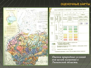 ОЦЕНОЧНЫЕ КАРТЫОЦЕНОЧНЫЕ КАРТЫ
Оценка природных условий
для целей осушения в
Тюменской области.
 
