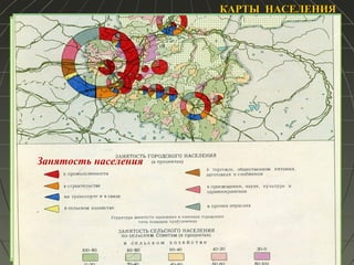 КАРТЫ НАСЕЛЕНИЯКАРТЫ НАСЕЛЕНИЯ
Половозрастная структура сельского населения
Занятость населения
 