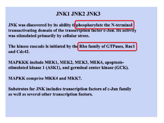 MAPK pathway, | PPTX