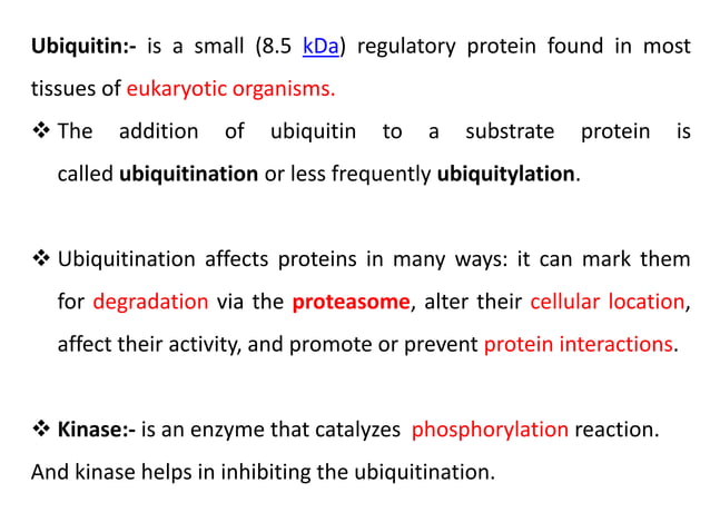 MAPK pathway, | PPTX | Endocrine and Metabolic Diseases | Diseases and ...