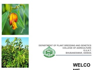 DEPARTMENT OF PLANT BREEDING AND GENETICS
COLLEGE OF AGRICULTURE
O.U.A.T.
BHUBANESWAR, ODISHA
WELCO
 