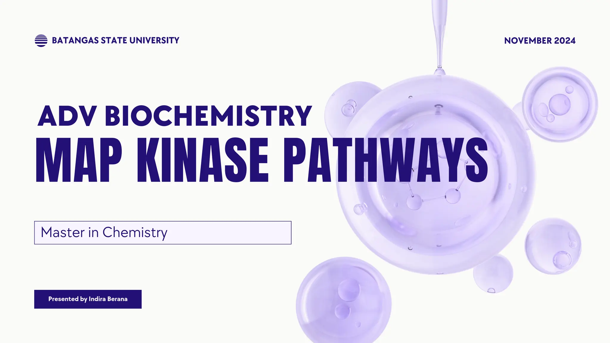 MAPK Mitogen Activated Protein Kinase Pathway Pdf MAPK Mitogen Activated Protein Kinase Pathway Pdf 1 2048 
