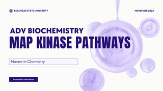MAPK (mitogen-activated protein kinase) Pathway .pdf