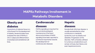 MAPK (mitogen-activated protein kinase) Pathway .pdf