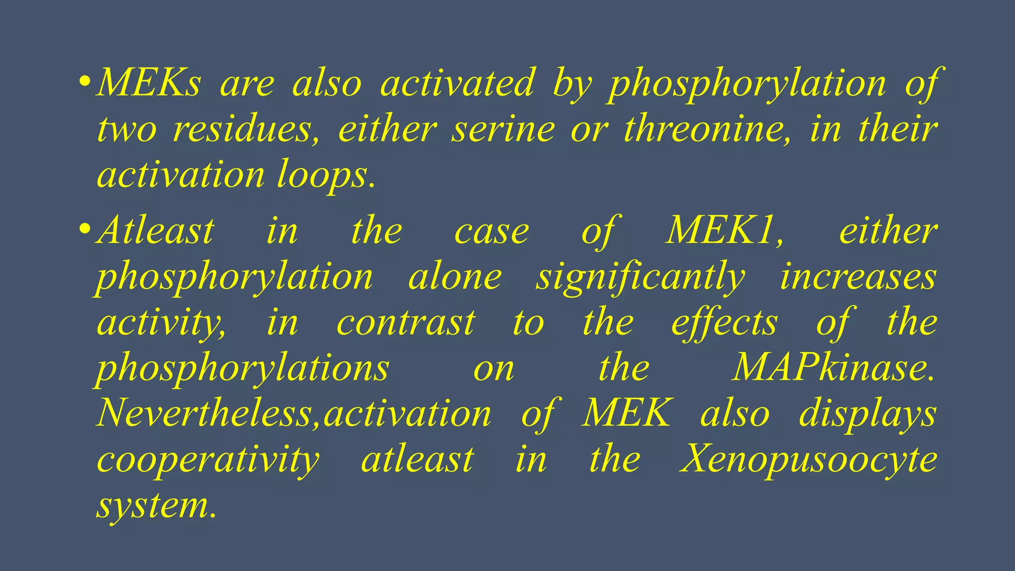 •MEKs are also activated by phosphorylation of
two residues, either serine or threonine, in their
activation loops.
•Atleast in the case of MEK1, either
phosphorylation alone significantly increases
activity, in contrast to the effects of the
phosphorylations on the MAPkinase.
Nevertheless,activation of MEK also displays
cooperativity atleast in the Xenopusoocyte
system.
 