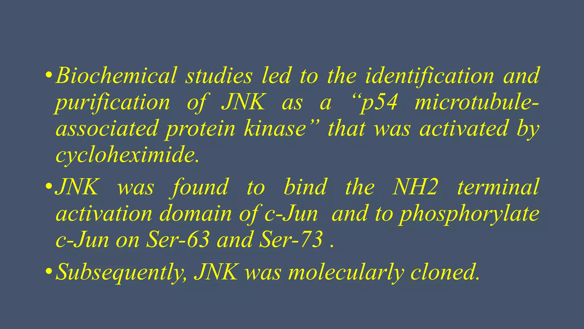 •Biochemical studies led to the identification and
purification of JNK as a “p54 microtubule-
associated protein kinase” that was activated by
cycloheximide.
•JNK was found to bind the NH2 terminal
activation domain of c-Jun and to phosphorylate
c-Jun on Ser-63 and Ser-73 .
•Subsequently, JNK was molecularly cloned.
 
